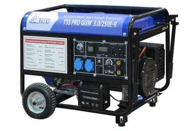 Бензиновый сварочный генератор TSS PRO GGW 3.0/250E-R — фото 1